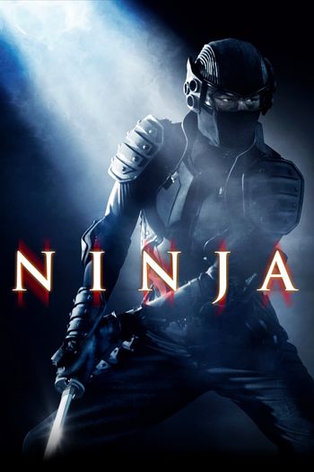 Ninja dual audio download 480p 720p 1080p