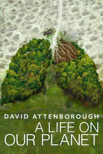 David Attenborough: A Life on Our Planet (2020) English [Subtitles Added] WEB-DL Download 480p, 720p, 1080p